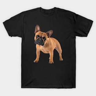 French Bulldog, Frenchie Lover, French Bulldogs T-Shirt